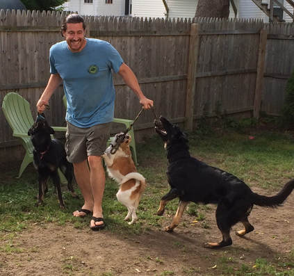 trainer playing with his dogs