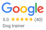 Google Reviews